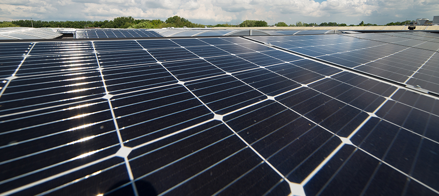 Nedco setzt auf Nachhaltigkeit